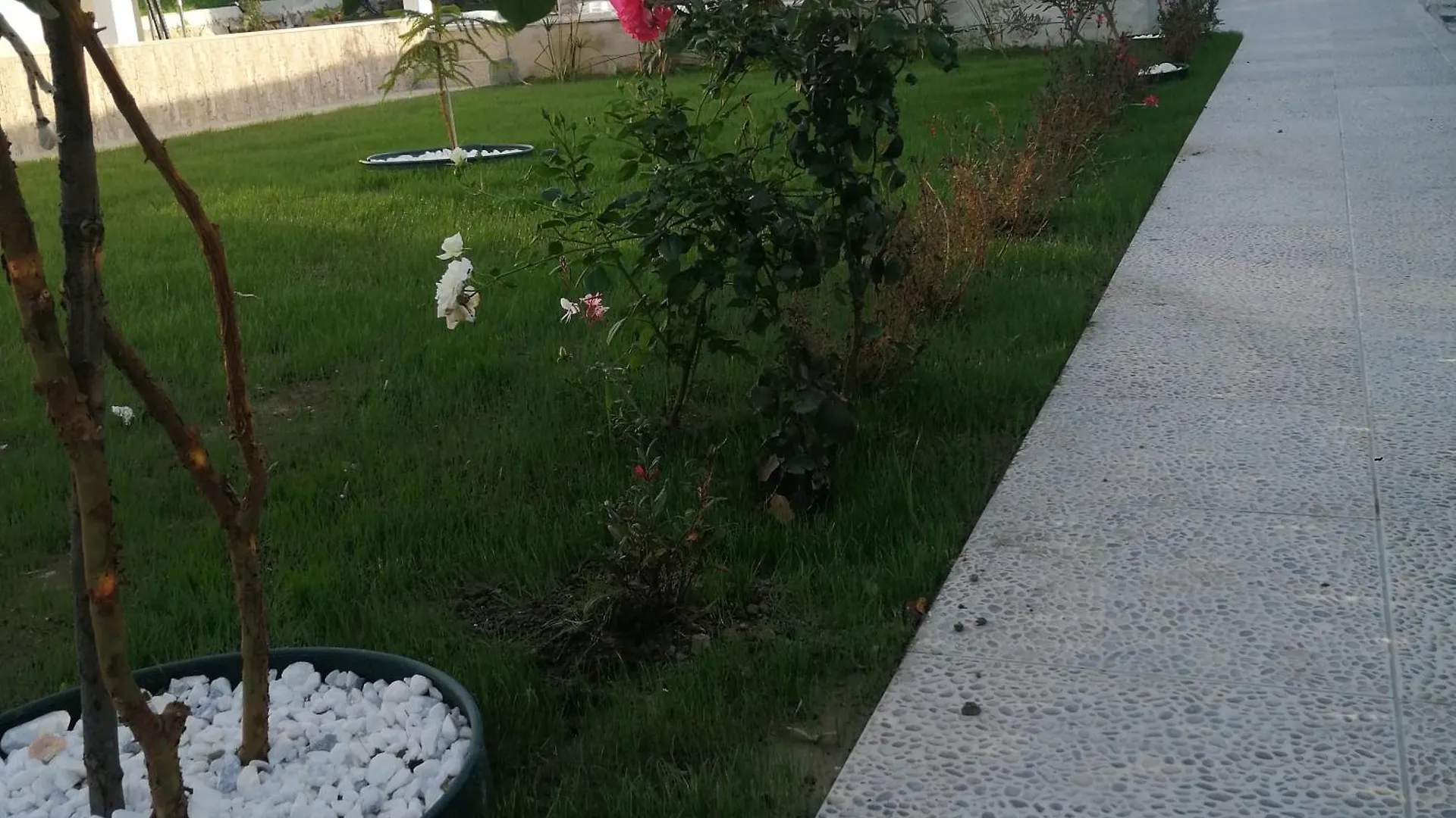 Villa Airport Doga Evleri à Dalaman